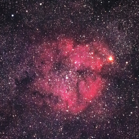 ガーネットスターと散光星雲IC1396