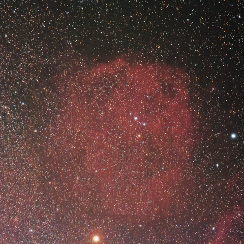 エンゼルフィッシュ星雲