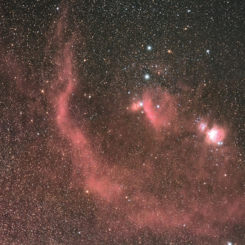 バーナードループ