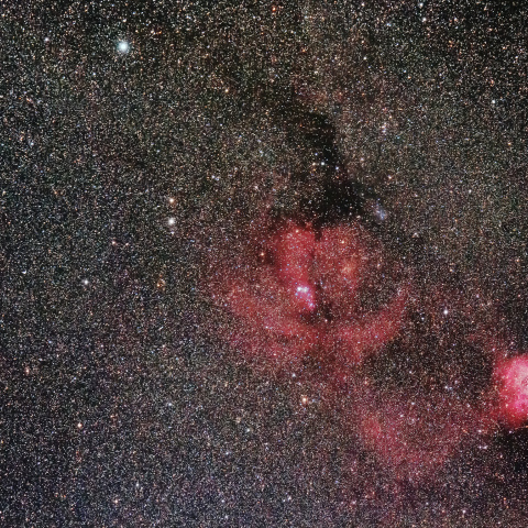 ばら星雲、クリスマスツリー星団