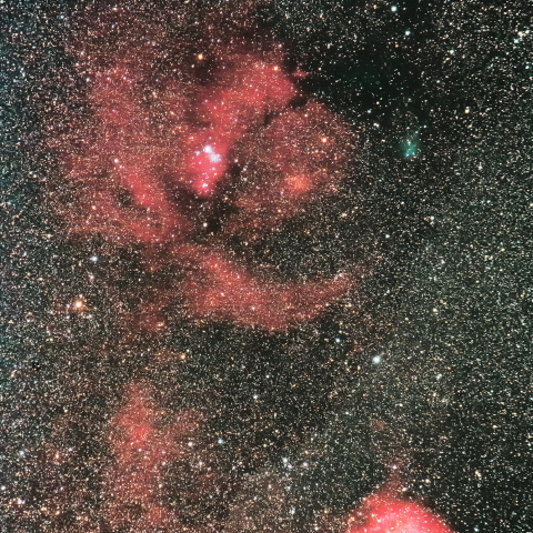 クリスマスツリー星団、ばら星雲