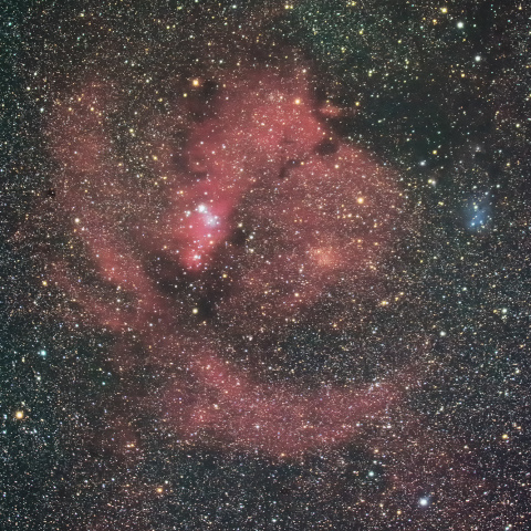 クリスマスツリー星団