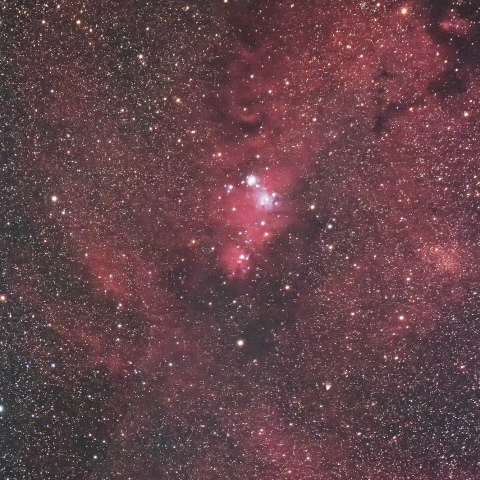 クリスマスツリー星団