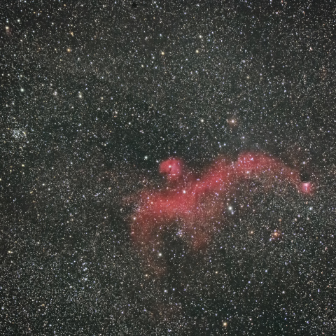 かもめ星雲、M50