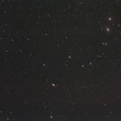 マルカリアンチェーン