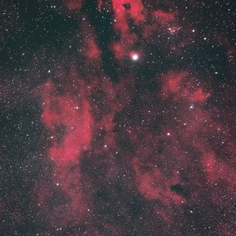 白鳥座サドル付近