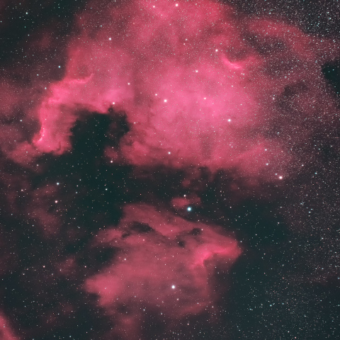 北アメリカ星雲、ペリカン星雲