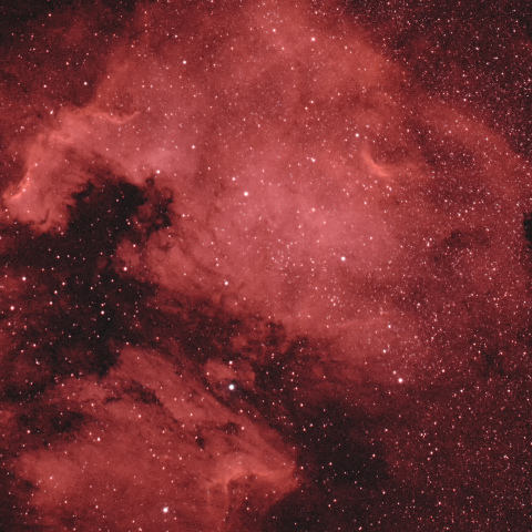 北アメリカ星雲、ペリカン星雲