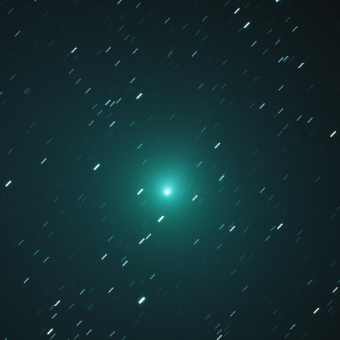 ウィルタネン彗星