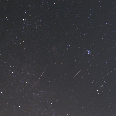 ふたご座流星群とウィルタネン彗星