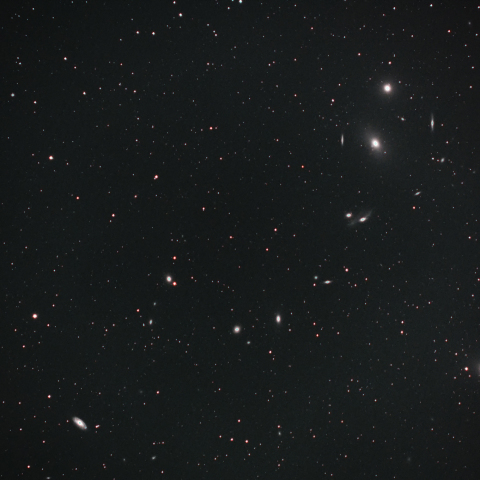 マルカリアンチェーン