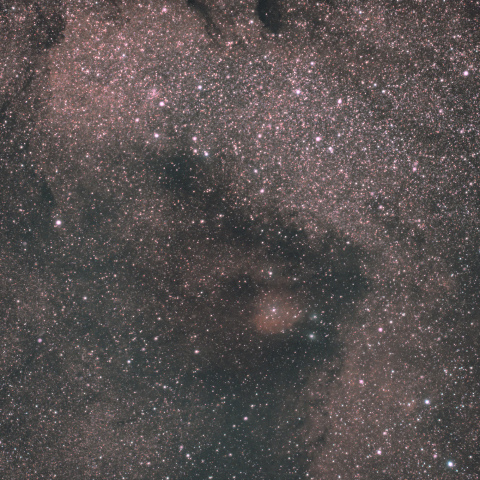 バンビの横顔＆首飾り