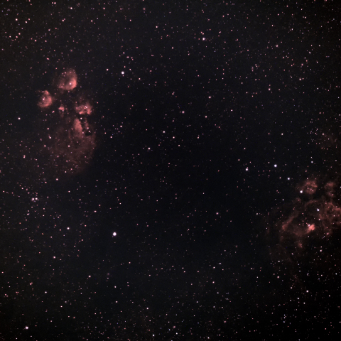 出目金星雲 、彼岸花星雲