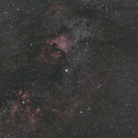 白鳥座の散光星雲