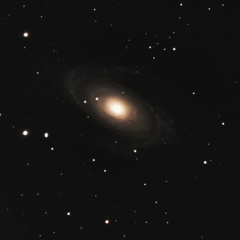 M81
