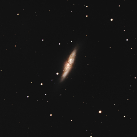 M82