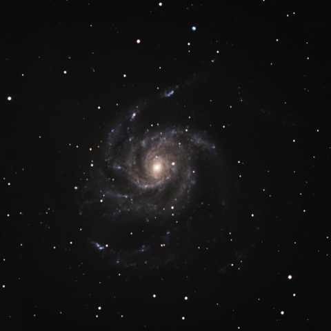 M101