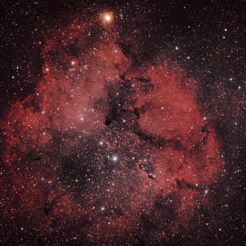 ガーネットスターとIC1396