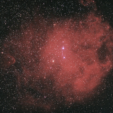 エンゼルフィッシュ星雲