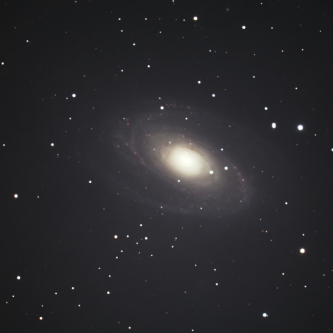M81