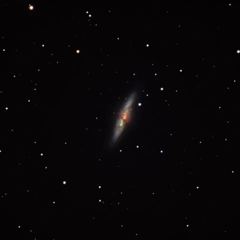 M82