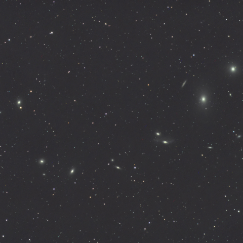 マルカリアンチェーン