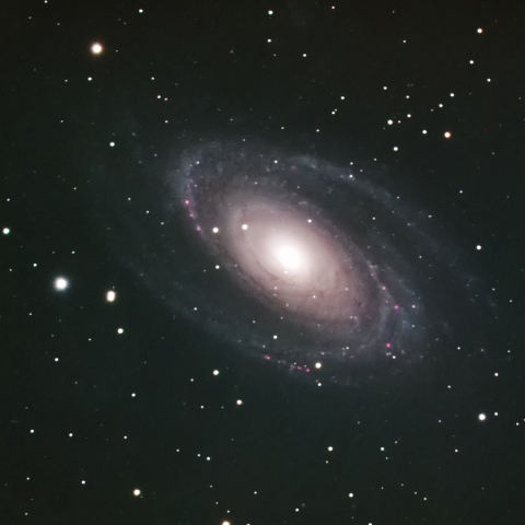 M81