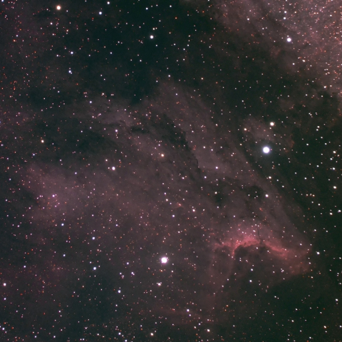 ペリカン星雲