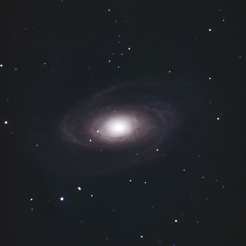 M81