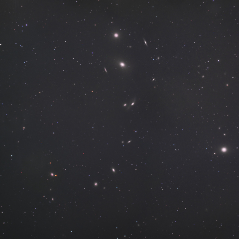 マルカリアンチェーン