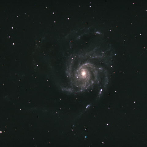 M101　超新星2023ixf