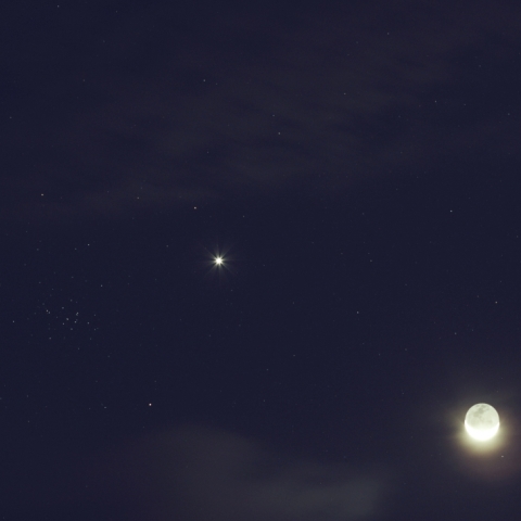 金星食から１ヶ月経ちました