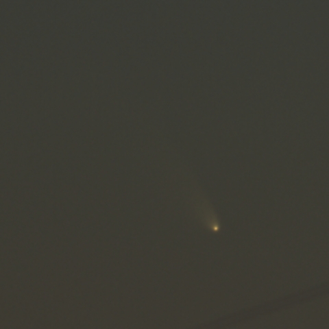 見えた！パンスターズ彗星