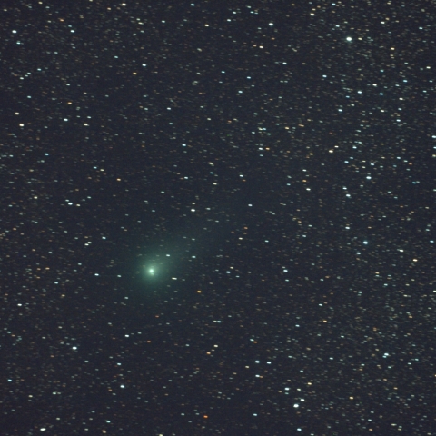 意外と明るいギャラッド彗星