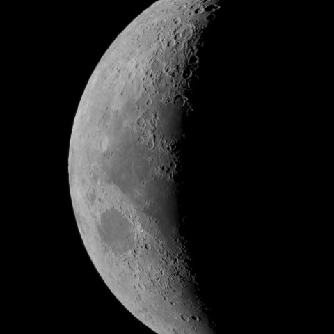 11月11日の月（月齢5.2）