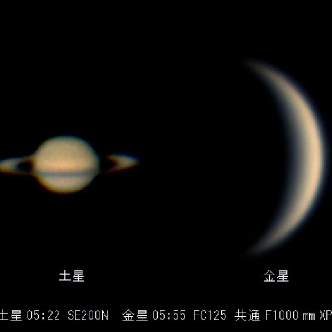 １１月２５日早朝の土星と金星