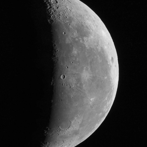 11月30日の月（月齢23.6）