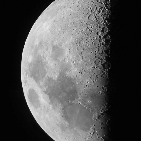 1月12日の月（月齢8.0）