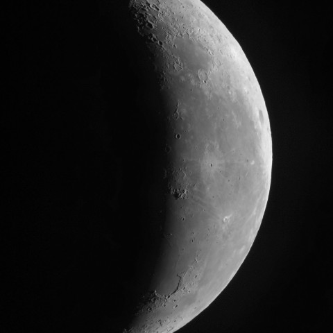 1月29日の月（月齢24.5）