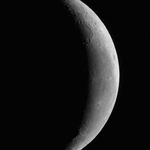 1月30日の月（月齢25.5）