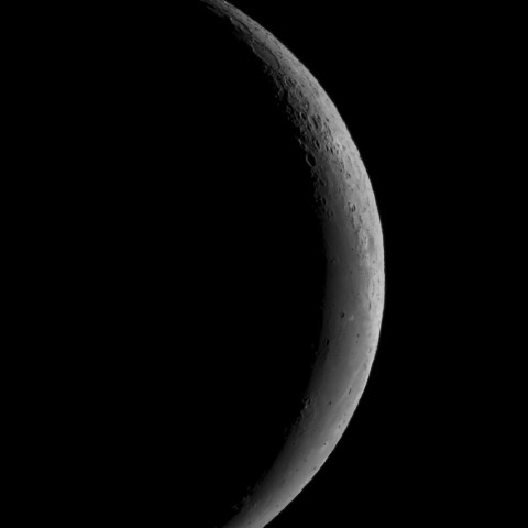 1月31日の月（月齢26.5）