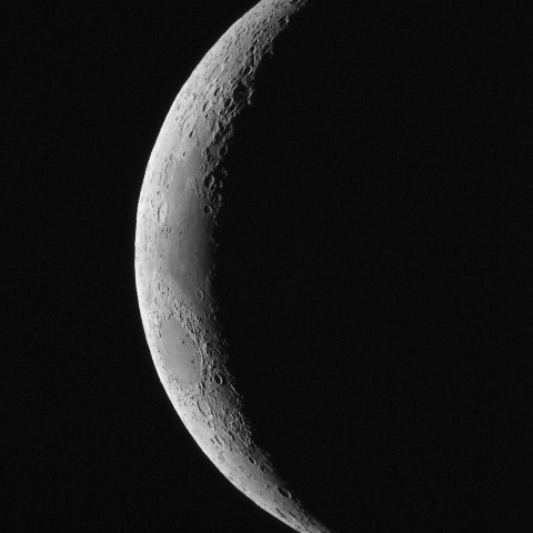 4月7日の月（月齢3.8）