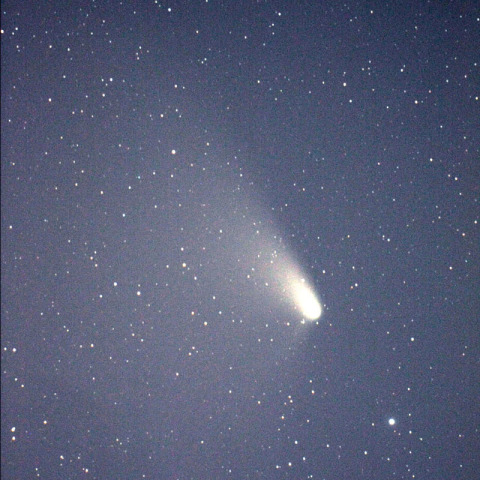 4月8日のパンスターズ彗星