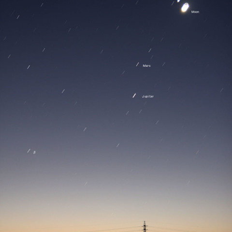 月・火・水・木・金で～す。