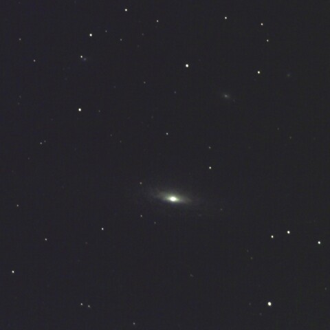 NGC 7331
