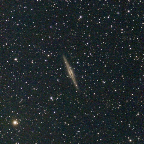 NGC 891
