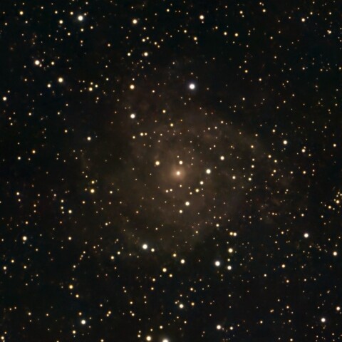 IC342