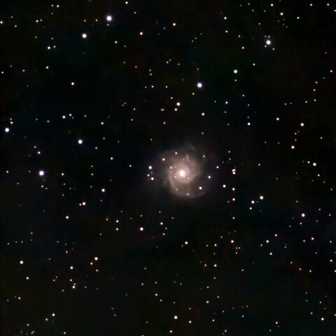 M74