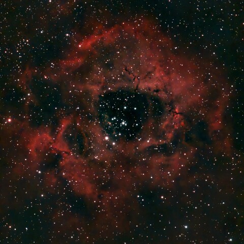 NGC2244 バラ星雲