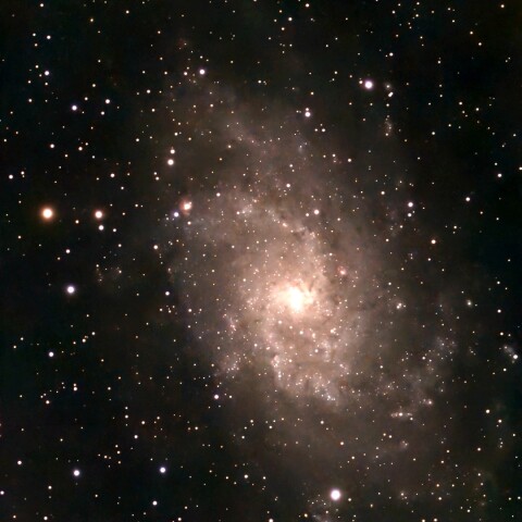 M33